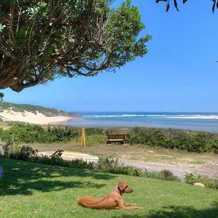 Milkwood Manor B & B Kenton-on-Sea Eksteriør billede